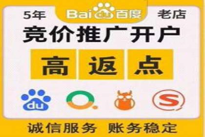 SEM推广案例：电商流量提升策略